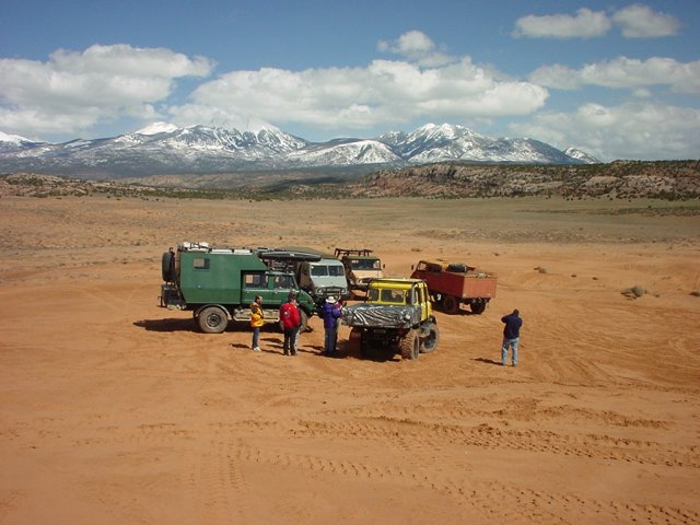 Mogs with mountain backdrop.