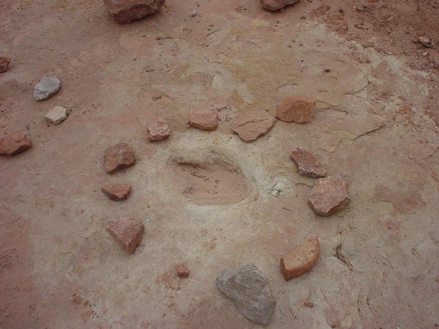 Dinosaur tracks.