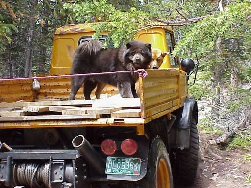 Richard's cruising buddies