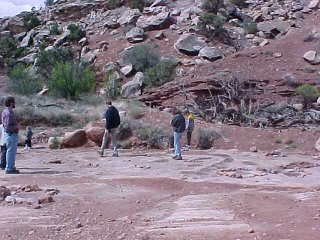 Looking at tracks.