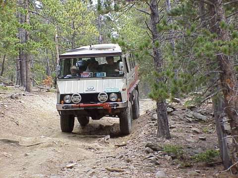 Per's Pinzgauer in the woods.