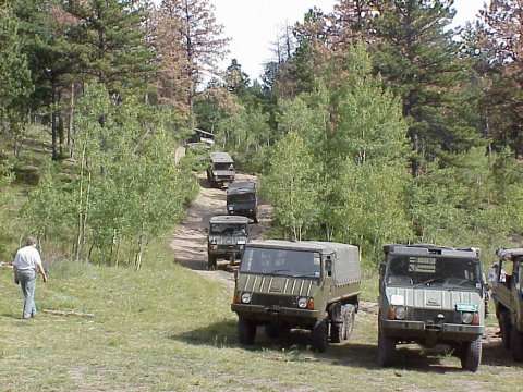 An Army of Pinzgauers.